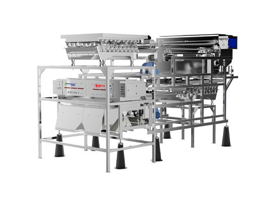 kualitas  Customized Fruit Sorting Machine Belt Type 1.0-1.5T/H Blueberry Color Sorter pabrik