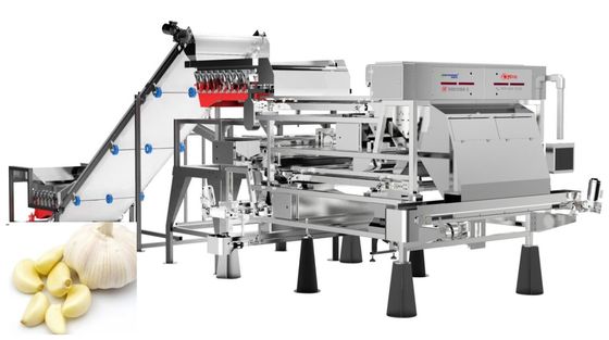 kualitas  Precise Removal Garlic Color Sorter Processing Equipment Belt Type 1.0-1.5 t/h pabrik